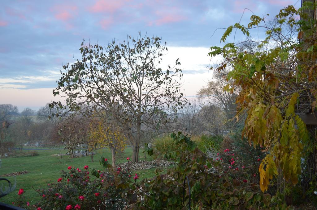 Rose Cottage Bed & Breakfast Fairplay Room photo